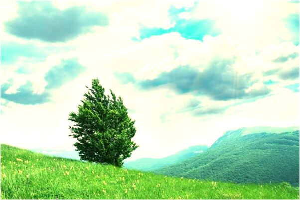 夢見墳墓代表什麼有什麼預示嗎_周公解夢官網