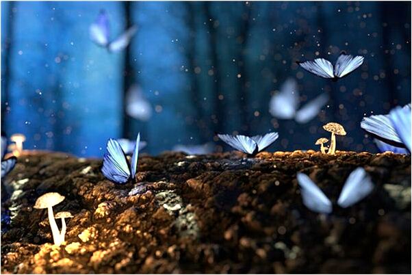 夢到家裡以前辦酒是好是壞_周公解夢官網