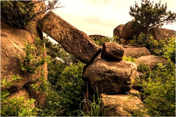 夢見路上有二條大蛇會是什麼預兆_周公解夢官網