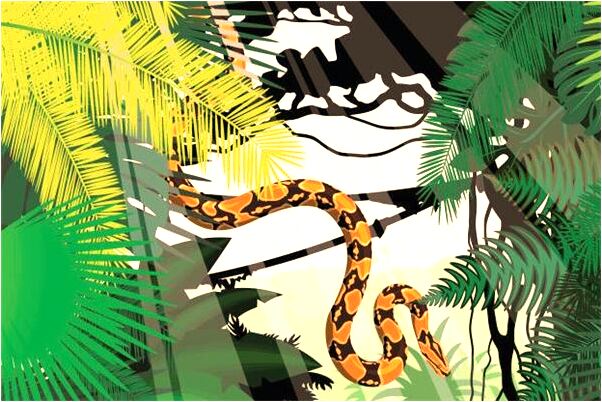 夢見磨牙停不下來是凶兆還是吉兆_周公解夢官網