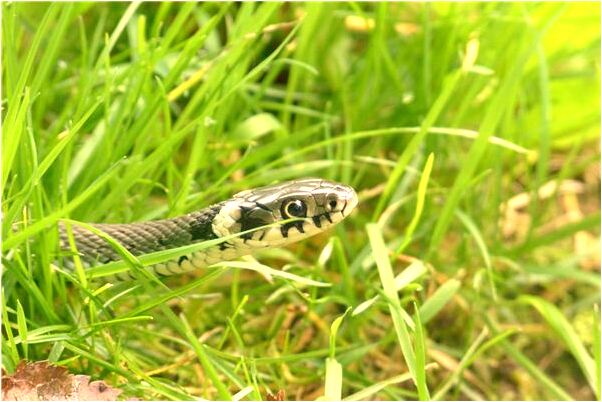 夢見一座亮晶瑩剔透的高塔是怎么回事_周公解夢官網