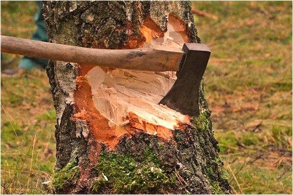 夢到了夢開破車預示著什麼_周公解夢官網