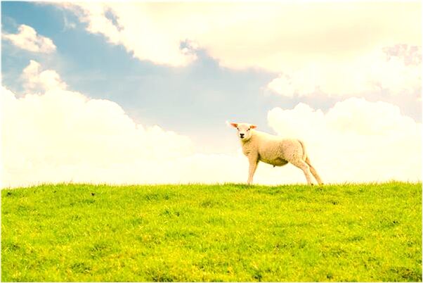 夢見預防盜竊是什麼預兆_周公解夢官網