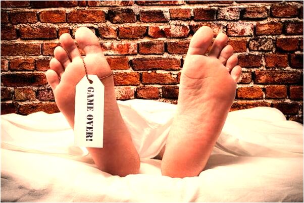 夢到綠蛇尋求幫助預示什麼是好是壞_周公解夢官網