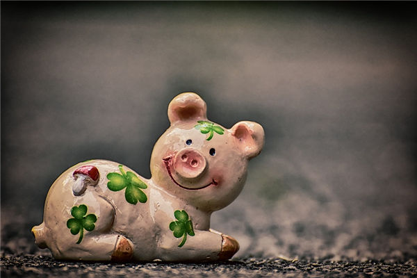 夢見大肥豬是什麼意思_周公解夢