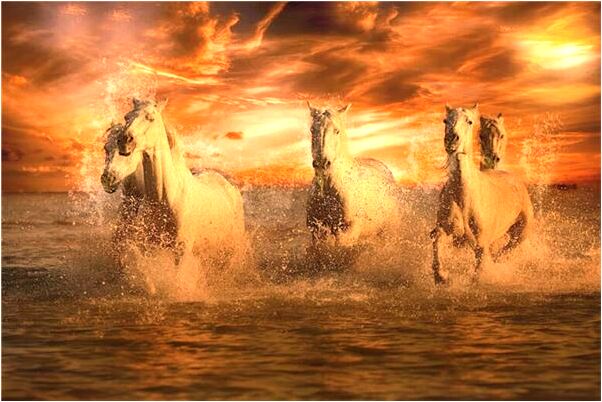 夢見看見同事和領導一起吃麵條是什麼意思？_周公解夢官網