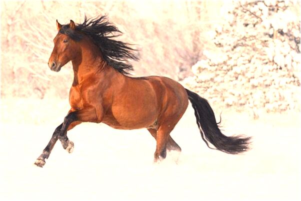 夢到了表妹騎車預兆了什麼嗎_周公解夢官網