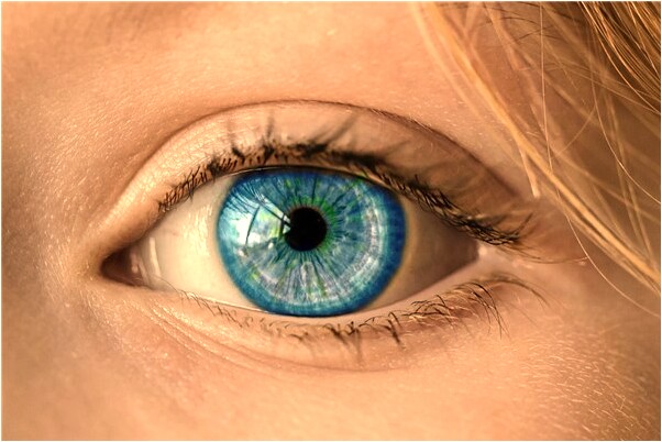 夢見同事買了一千元的房子有什麼寓意嗎？_周公解夢官網