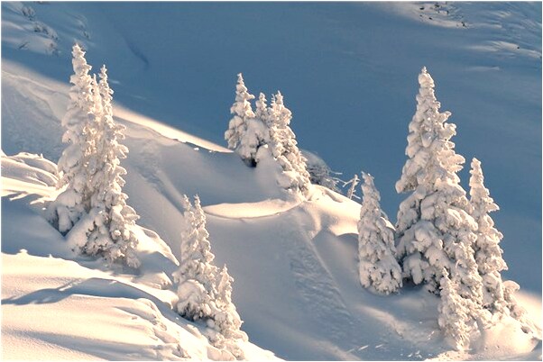 夢到丟了兩隻雞代表什麼_周公解夢官網