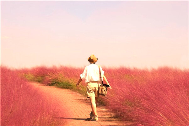 夢見祭祀亡靈會是什麼預兆_周公解夢官網