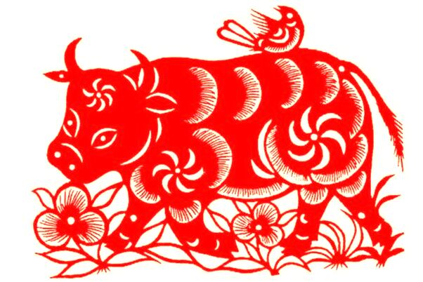 夢到在池塘撈蛤蜊的預兆_周公解夢官網