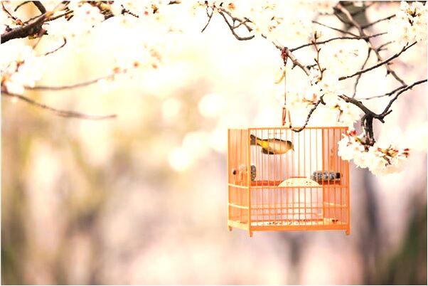 夢到前夫外遇預示著什麼_周公解夢官網