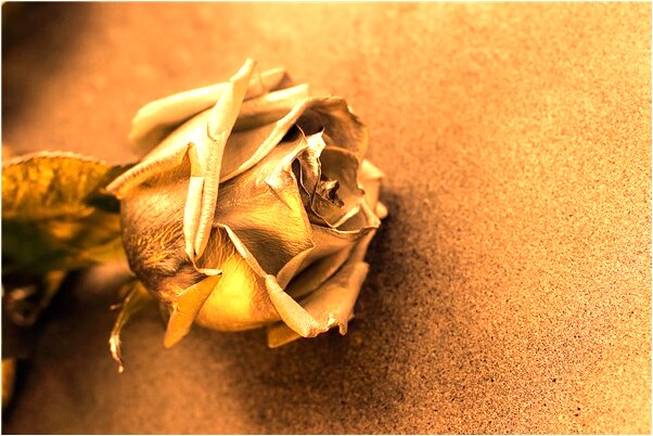 夢到了白金戒指和項鍊意味什麼_周公解夢官網