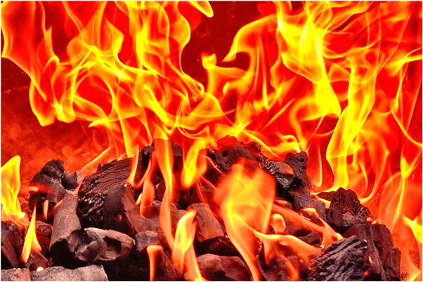 夢到了落地窗外是一片有魚的泥水是凶兆還是吉兆_周公解夢官網