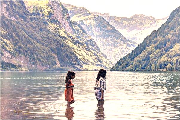 夢到魚親近人是好事還是壞事_周公解夢官網