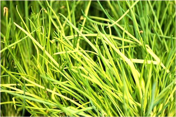 夢見跑下樓後面有東西追是什麼意思_周公解夢官網