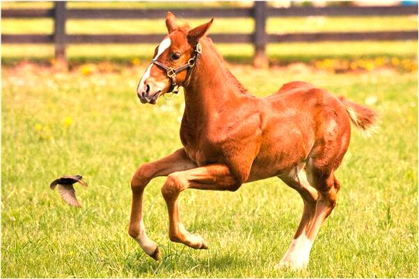 夢見和過世的爺爺是什麼預兆_周公解夢官網