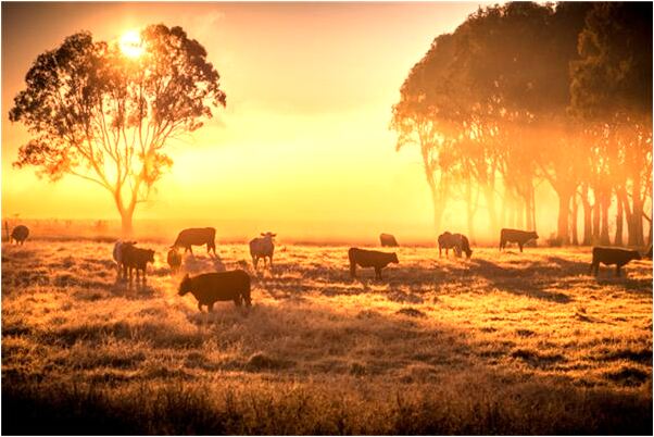 夢到了有地震地陷下去還救人有什麼意思_周公解夢官網