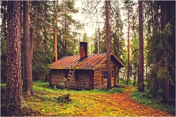 夢見學校和同學打架是什麼意思_周公解夢官網