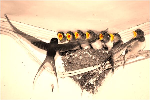 夢見自己向過世的親人要錢什麼預兆_周公解夢官網