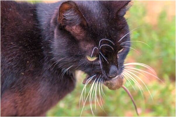 夢到被人按在水裡啥意思_周公解夢官網