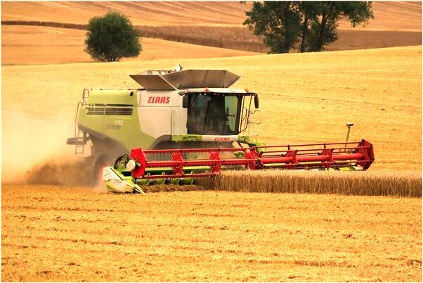 夢見跟人挖寶藏是啥意思_周公解夢官網