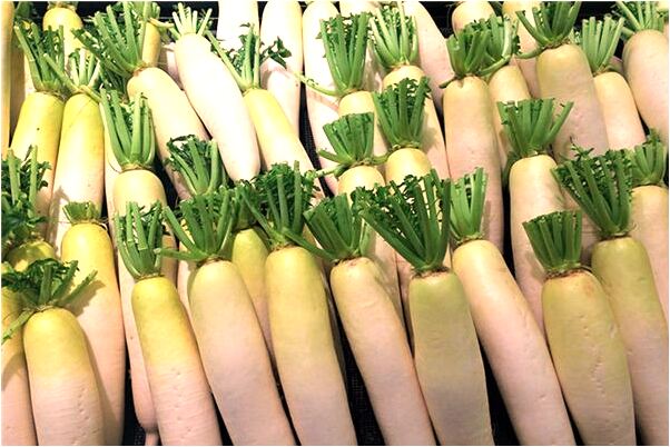 夢到了撿到一個拇指大的兒子是什麼徵兆_周公解夢官網