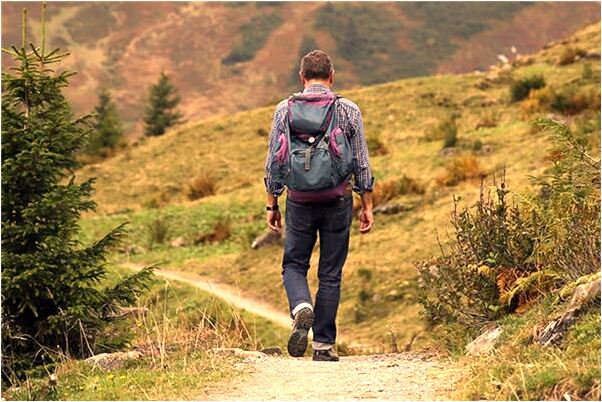 夢到老鼠鑽進雞屁股里把雞分解有什麼寓意嗎？_周公解夢官網