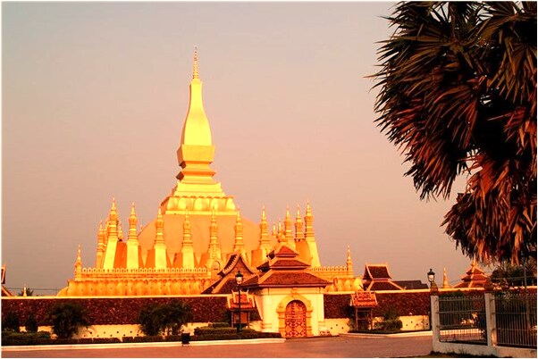 夢見陰莖包皮下面有蛆有什麼預兆_周公解夢官網