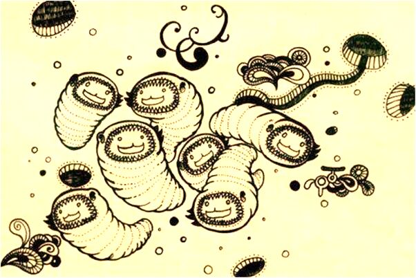 夢到了很對對多花是吉兆嗎?_周公解夢官網