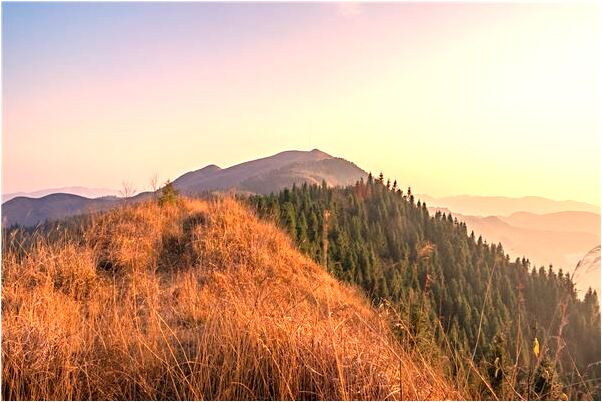 夢到舌頭上扎大頭針是凶兆還是吉兆_周公解夢官網