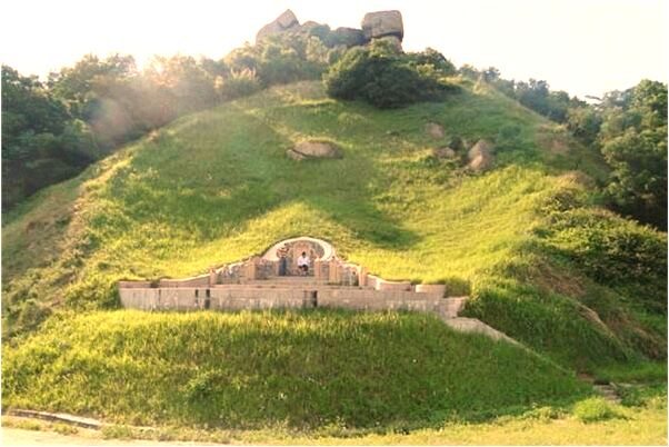 夢到我給母豬接生生了六隻小豬預示了什麼_周公解夢官網