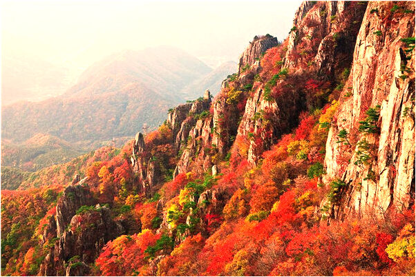 夢到女人赤裸上體鍛鍊瑜伽有什麼意思_周公解夢官網