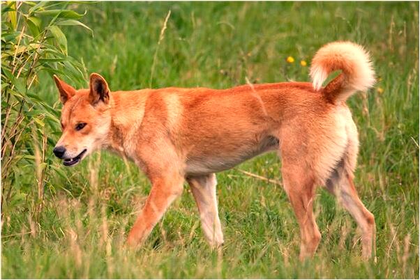 夢到同事打上司全身是血有什麼說法_周公解夢官網