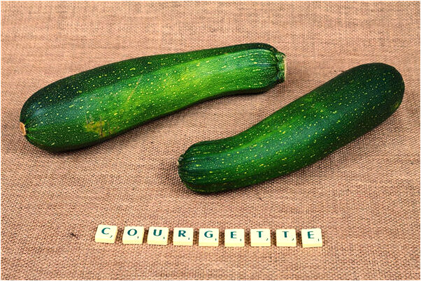 夢到臥佛山是什麼徵兆_周公解夢官網