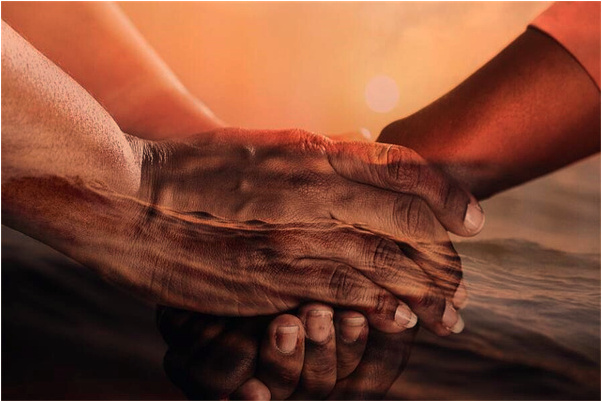 夢見白色的花開了是什麼意思_周公解夢官網