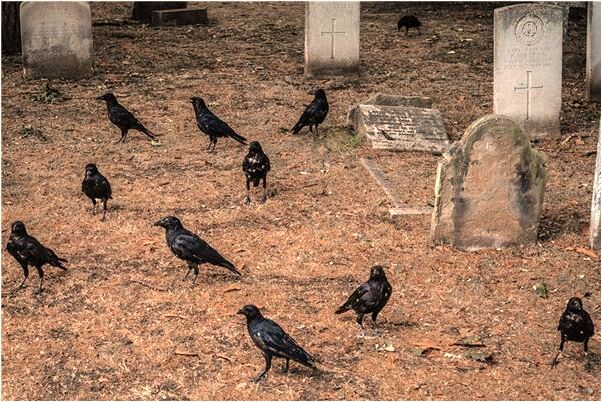 夢到了八下語文作業本答案有什麼寓意嗎_周公解夢官網