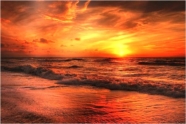 夢見水中一條白蛇遊走了是吉兆嗎?_周公解夢官網