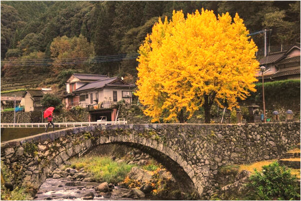 夢見不認得男的坐我身邊好不好_周公解夢官網