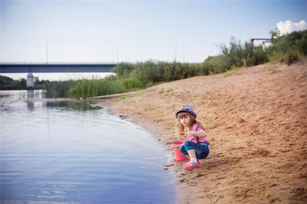 2013年生人的運勢如何_十二生肖