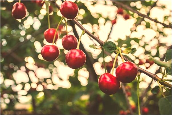 夢到了剛生的嬰兒死了意味什麼_周公解夢官網