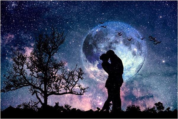 夢到自己的狗變成人了是什麼預兆？_周公解夢官網