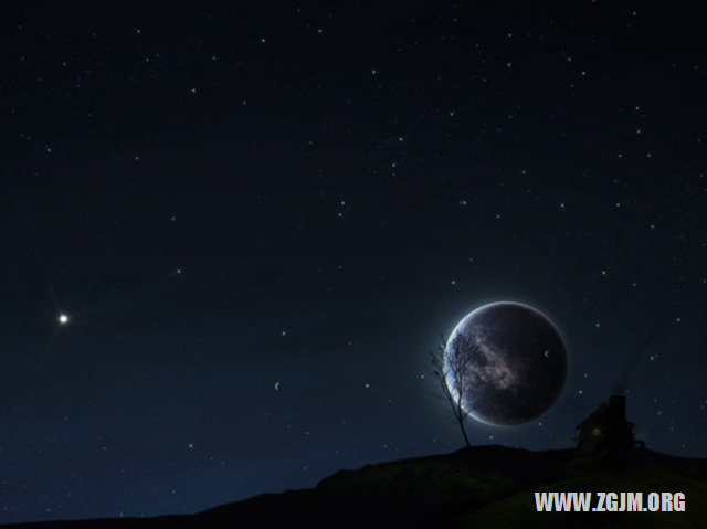 夢見藏獒追我_周公解夢夢到藏獒追我是什麼意思_做夢夢見藏獒追我好不好_周公解夢官網