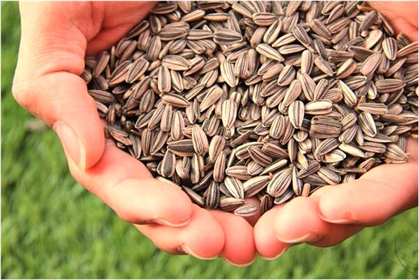 夢見愛的人訂婚什麼寓意_周公解夢官網