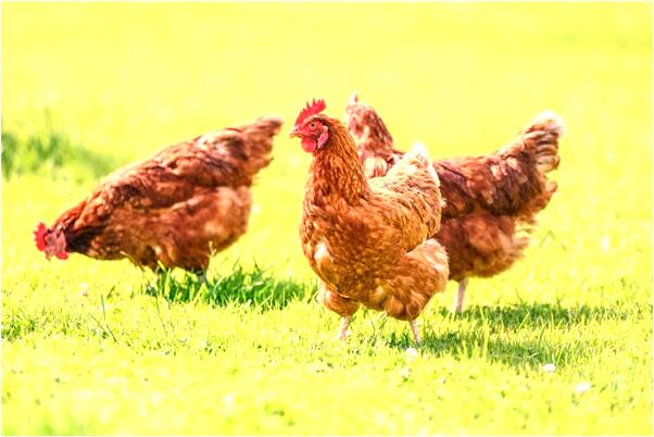 夢到在黑暗的漩渦里出不來有什麼寓意嗎？_周公解夢官網