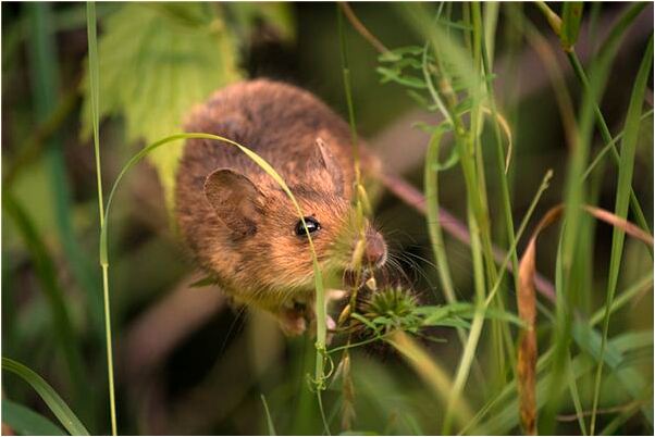 夢到了別人身上沾滿大便有什麼寓意嗎？_周公解夢官網