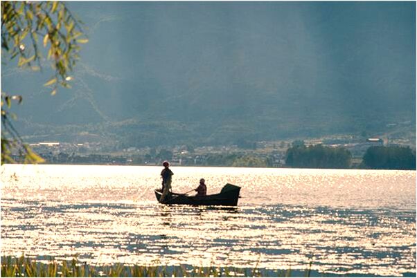 夢到了自己摘了蘋果有什麼寓意嗎？_周公解夢官網