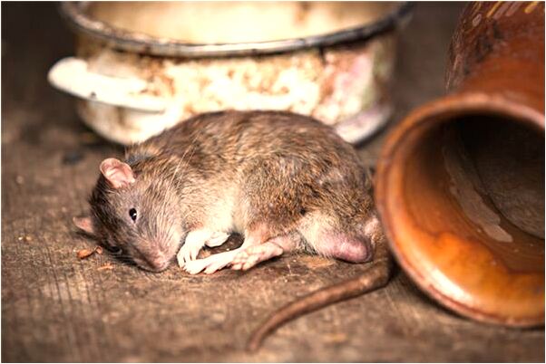 夢到重要考試遲到代表著什麼？_周公解夢官網