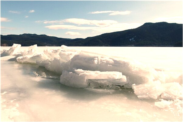 夢到雞姦是啥預示了什麼_周公解夢官網