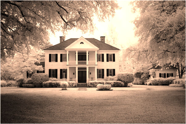 夢到跟男朋友吃好多好吃的預示什麼_周公解夢官網